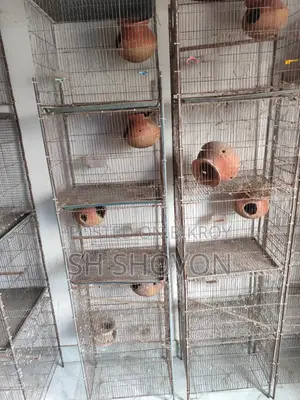 পাখির খাঁচা