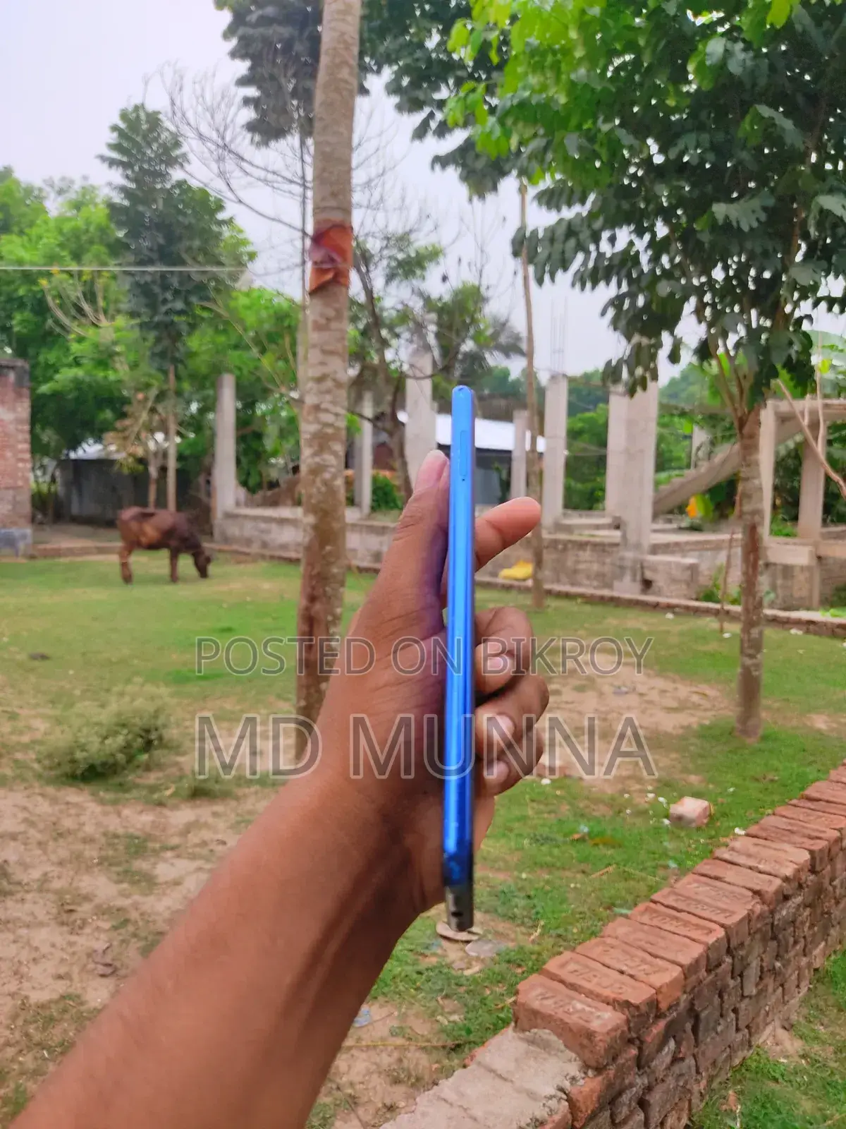 EL 6C 8 GB Blue