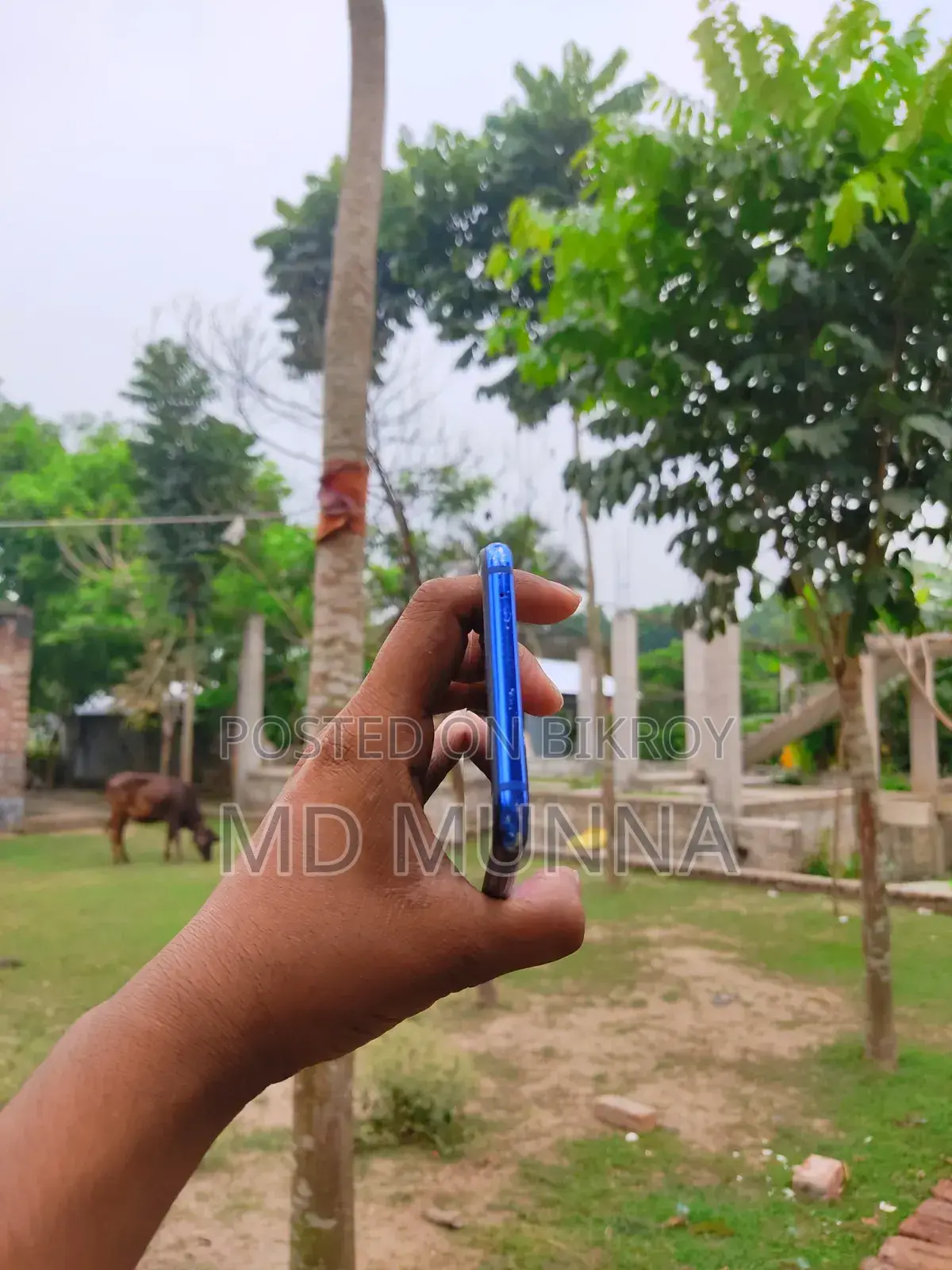 EL 6C 8 GB Blue