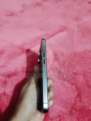 Apple iPhone 13 Pro 128 GB ব্রোঞ্জ