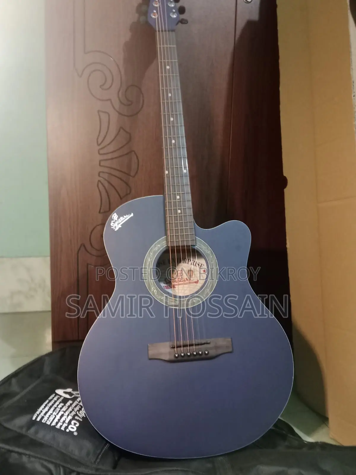 Guitar