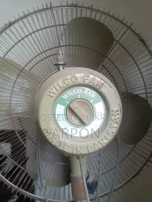 পাকিস্তানি ফ্যান