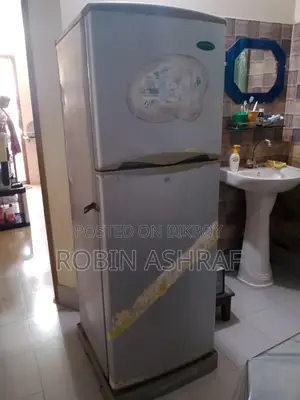 Perfectly Working Fridge