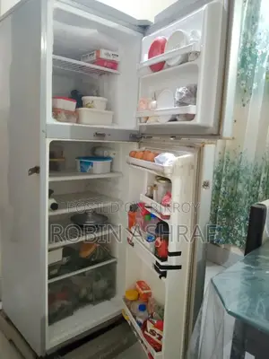 Perfectly Working Fridge