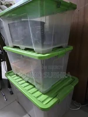 3 Box