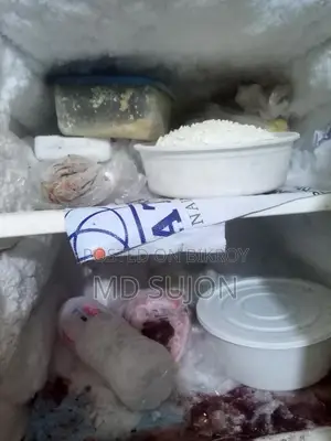 Walton Fridge for Sale