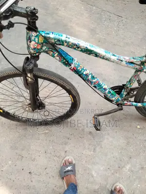 Phoenix Bicycle for Sale