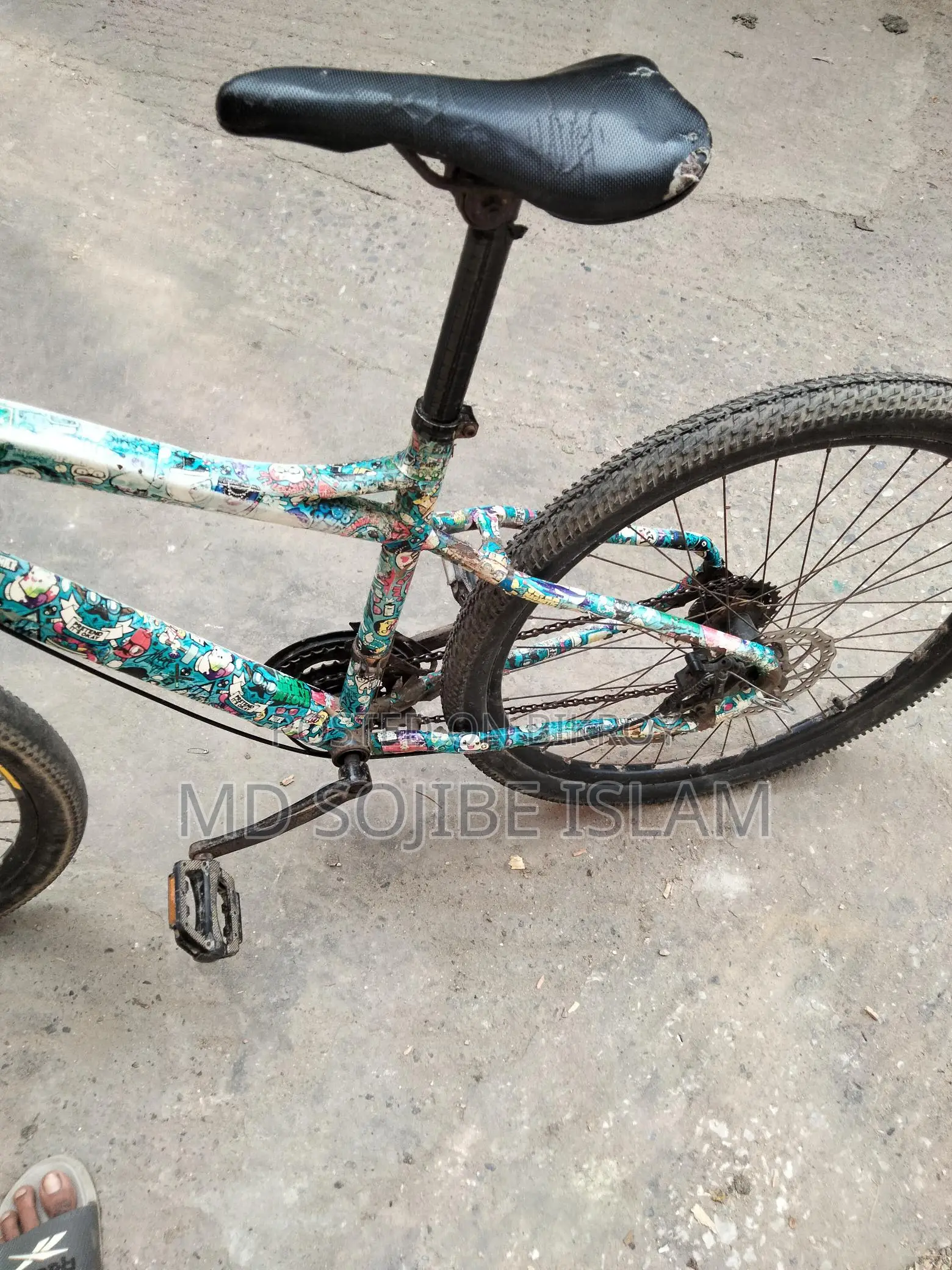 Phoenix Bicycle for Sale