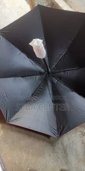 Your Favorite Umbrella Before the Rain Starts.