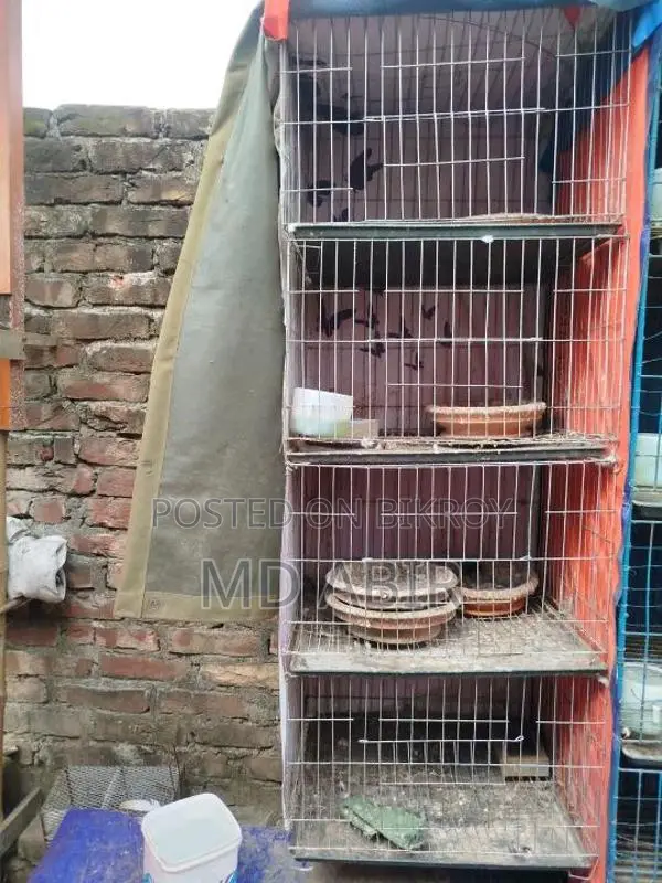 ৪ খোপ ৮ ২ টি খাচা বিক্রি করা হবে