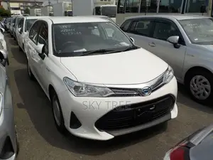Toyota Axio Hybrid Ex 2020