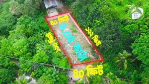 কুষ্টিয়া কবুরহাট এই জমিটি বিক্রয় হবে ১৫ফিট রাস্তার সাথে।