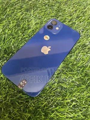 Apple iPhone 12 (Used)