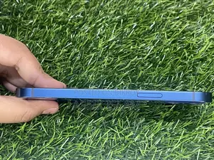 Apple iPhone 12 (Used)