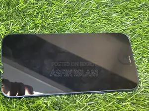 Apple iPhone 12 (Used)