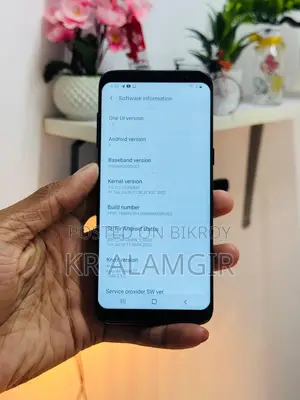 Samsung Galaxy S8 4/64 Fresh (Used)