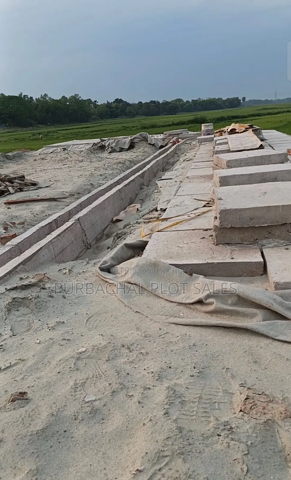 Buy a plot at Pine City after seeing visible development.