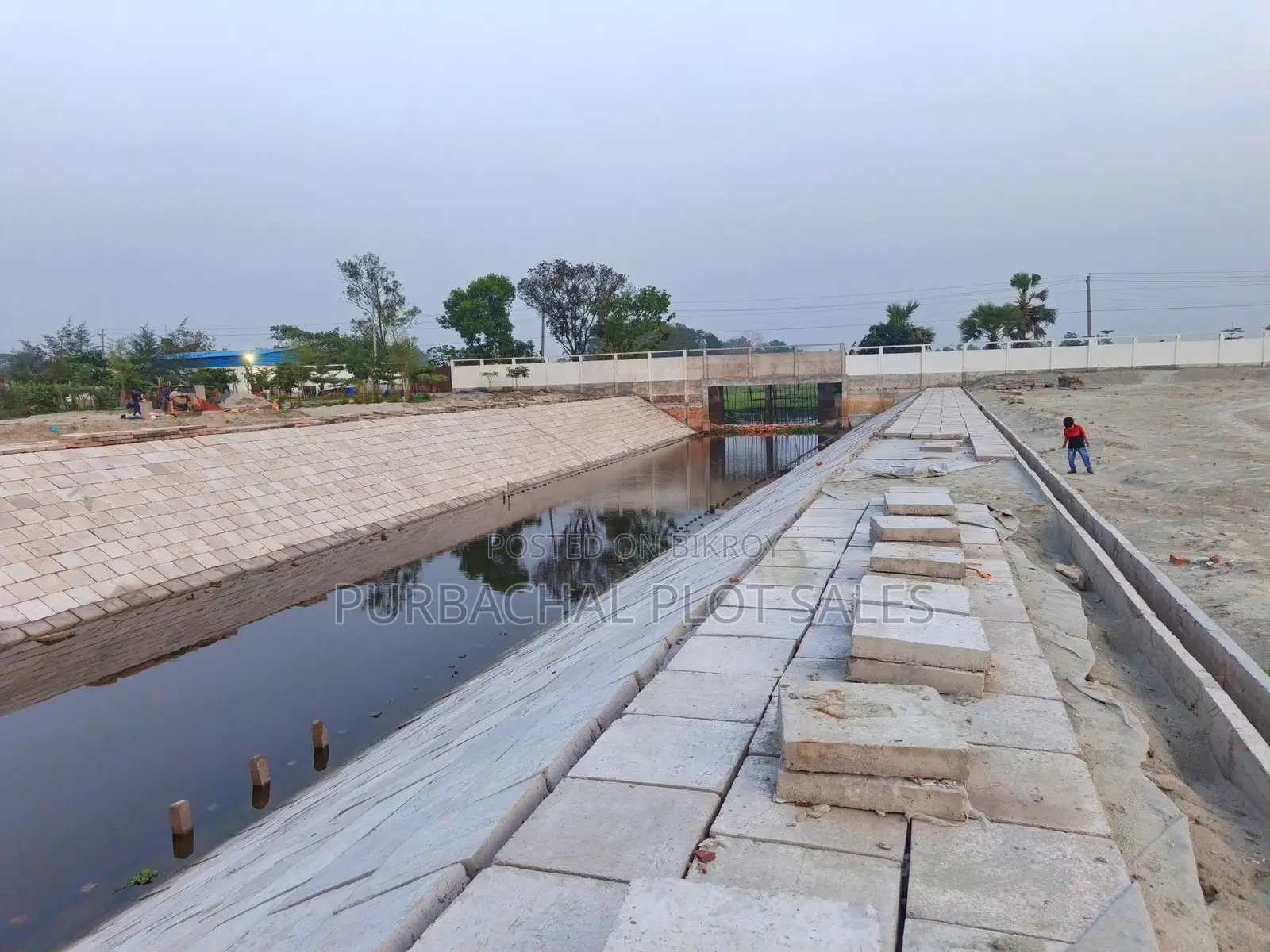 Buy a plot at Pine City after seeing visible development.