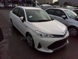 Toyota Axio Ex 2021
