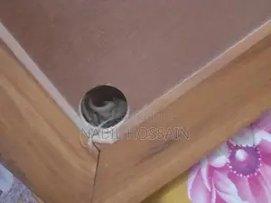 Carrom Board