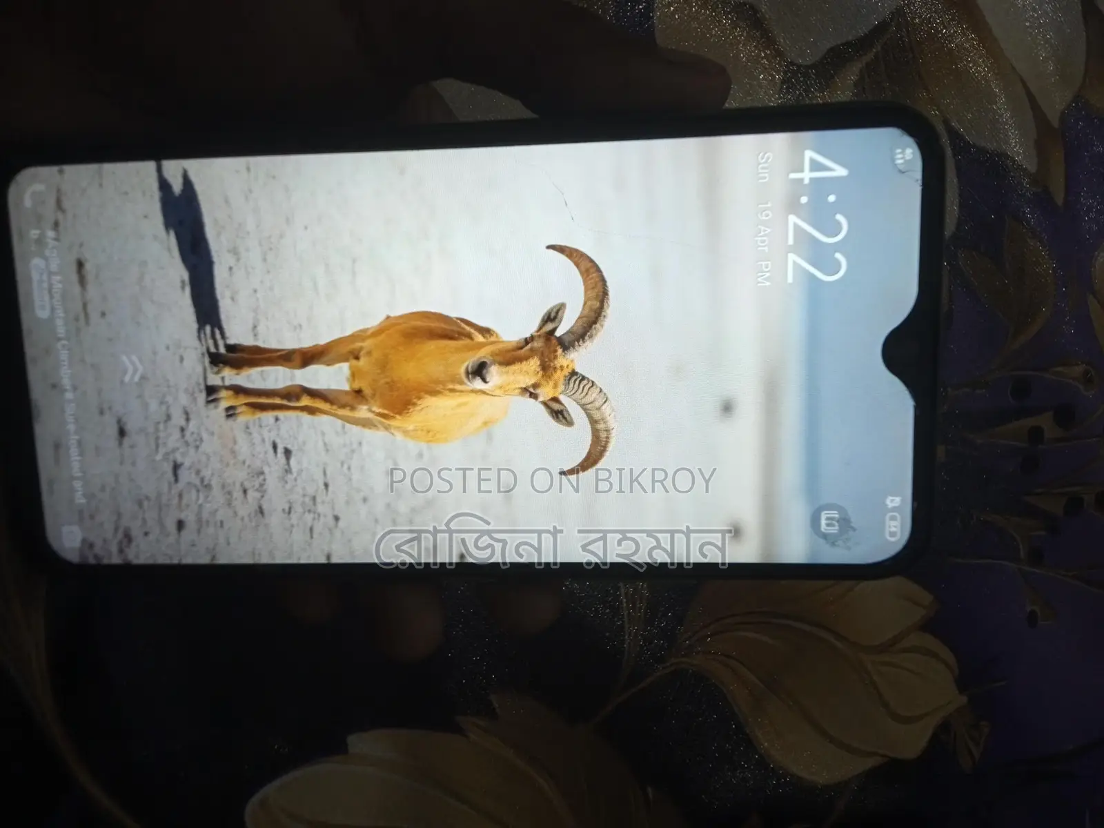 Vivo Y17 (Used)