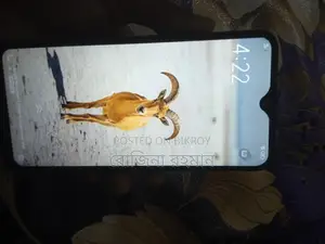 Vivo Y17 (Used)