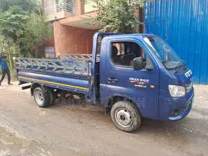Foton Pickup 1.2 Ton TM 2024