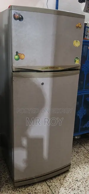 Singer Fridge