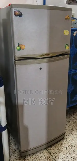 Singer Fridge