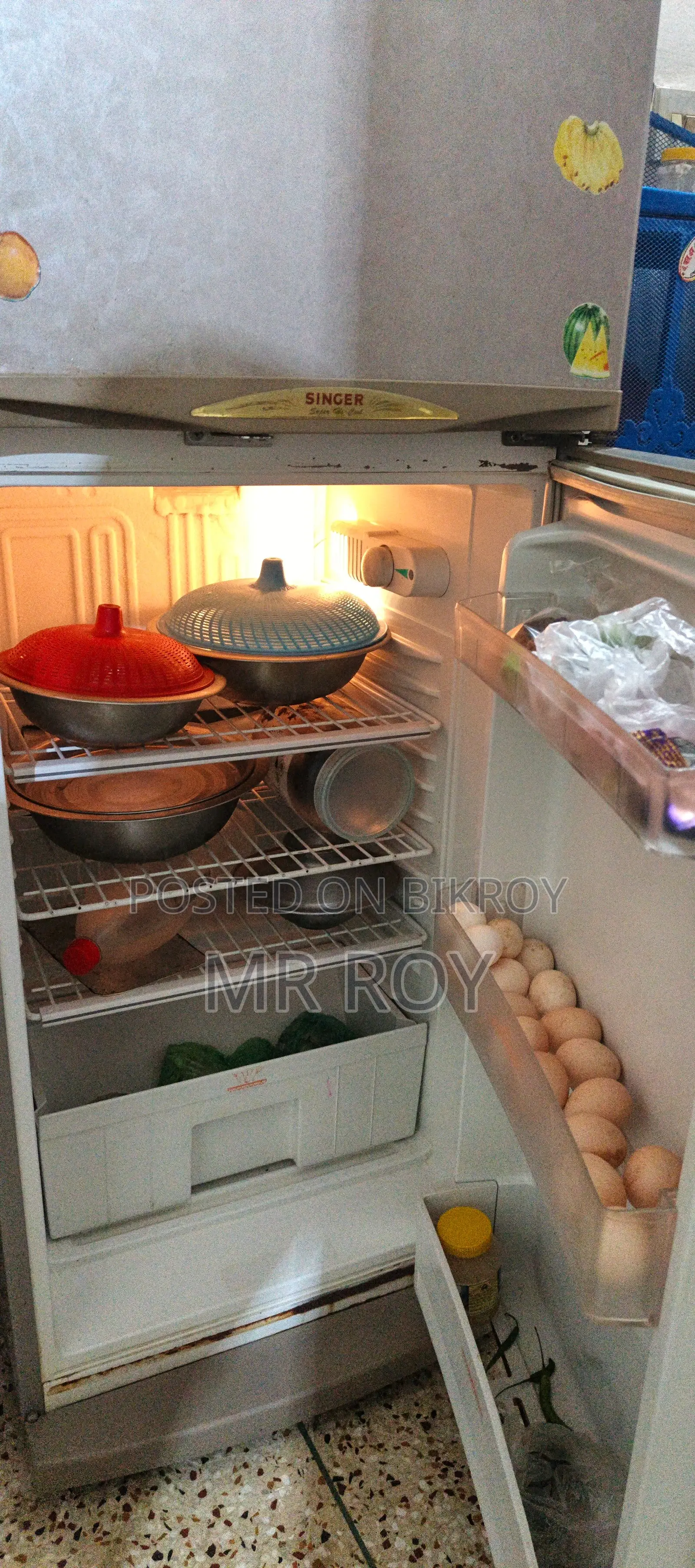 Singer Fridge