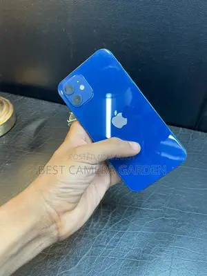 Apple iPhone 12 (Used)