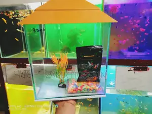 Mini Aquarium Set Up