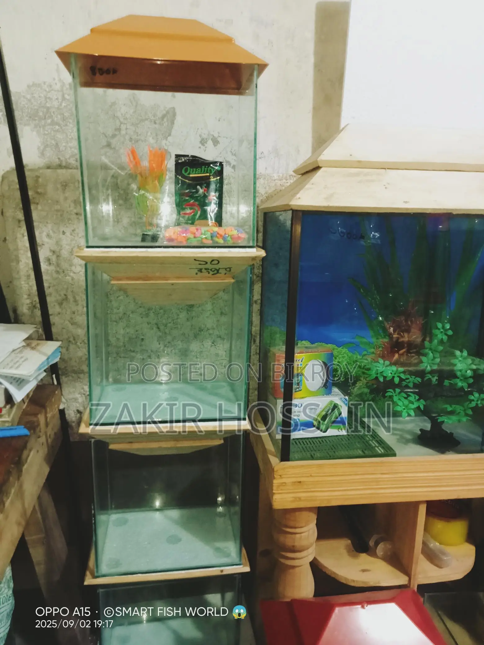 Mini Aquarium Set Up