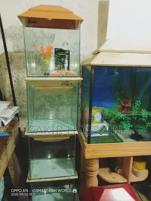 Mini Aquarium Set Up