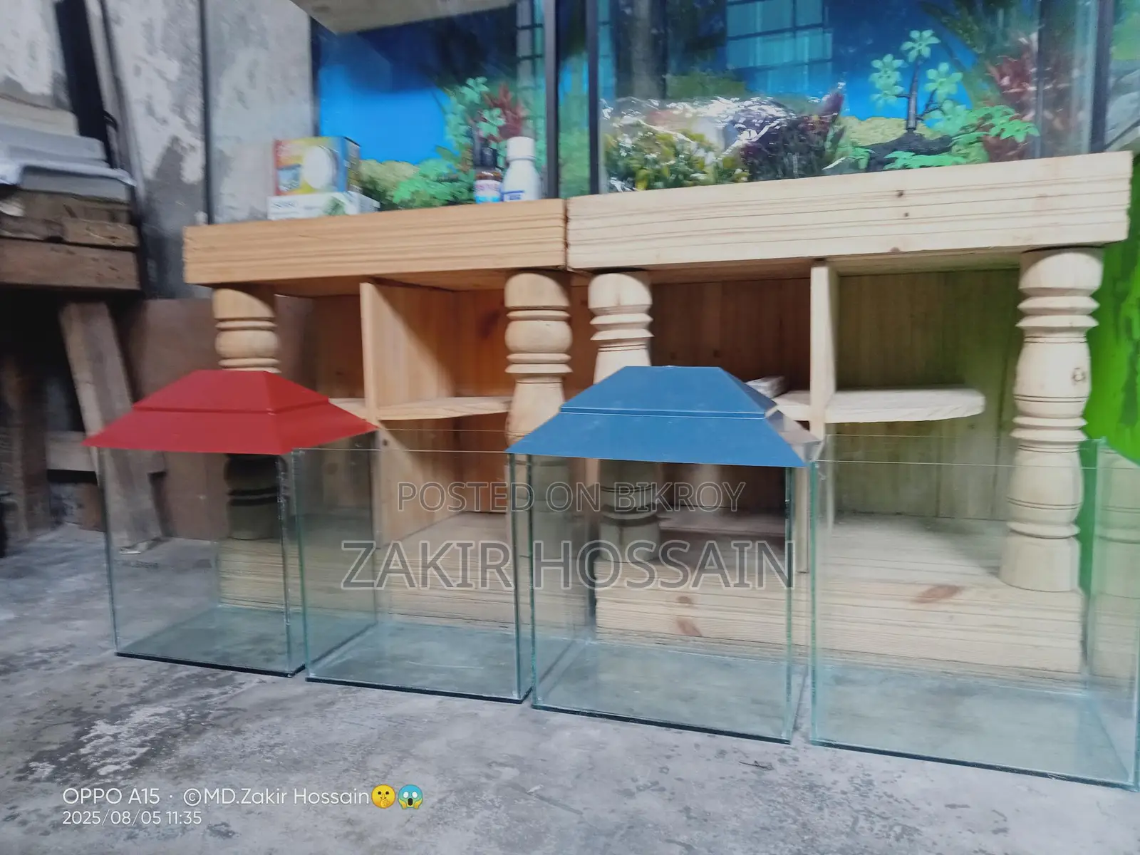 Mini Aquarium Set Up