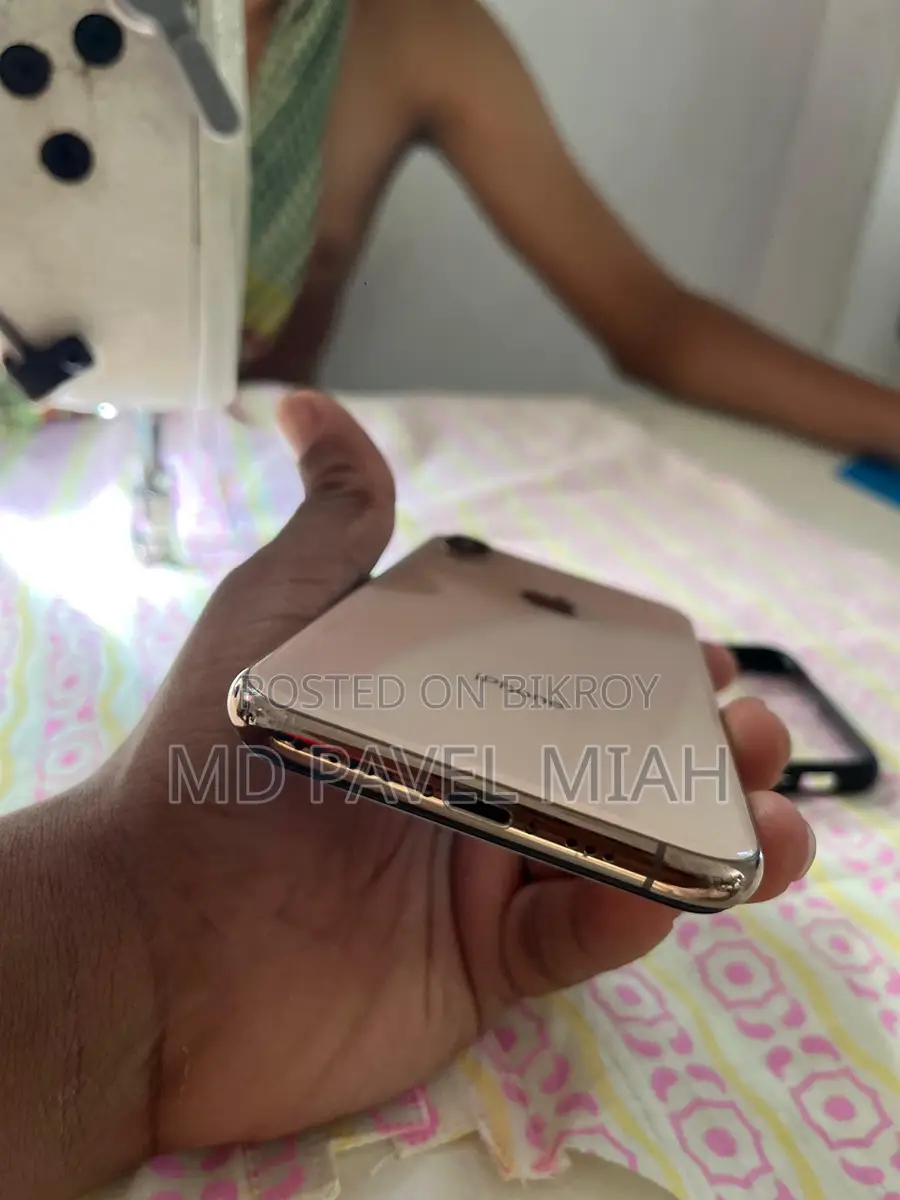Apple iPhone XS 256 GB Phone (Used)