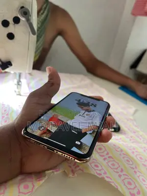 Apple iPhone XS 256 GB Phone (Used)