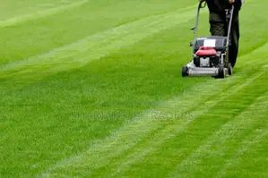Petrol Lawn Mower