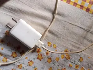 Vivo Charger