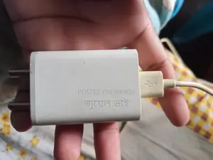 Vivo Charger
