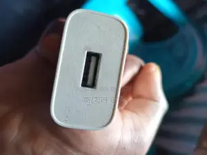 Vivo Charger