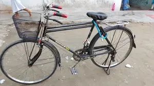 চাইনা ফনিক্স Bicicle