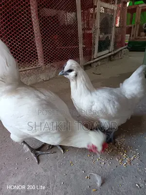 Sonali Chicken