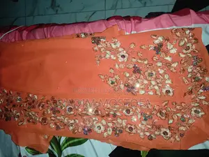 Beautiful and Gorgeous Saree