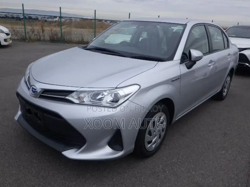 Toyota Axio EX PKG সিলভার কালার ২০১৯
