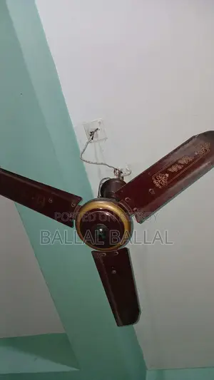 Fan for Sale