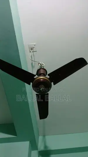 Fan for Sale