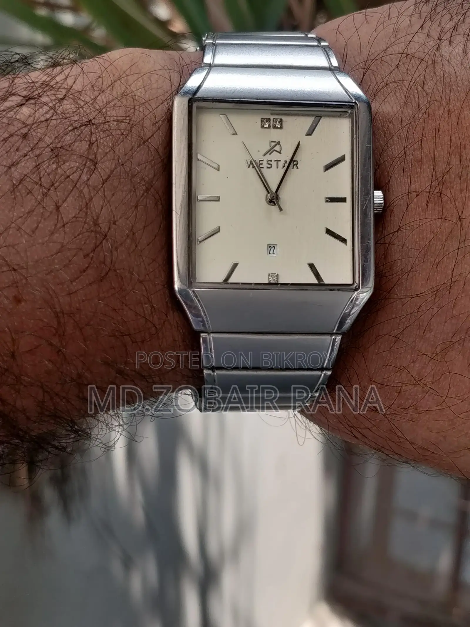 Wester Watch