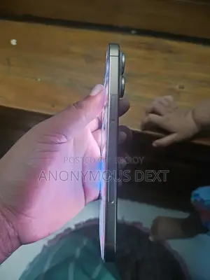 Apple iPhone 16 Pro Max (Used)