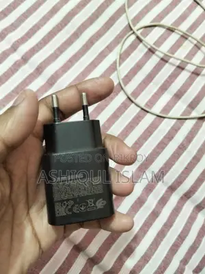 Samsung Original Charger and Cable